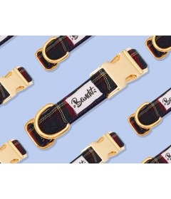 Collier pour chiens - Collier OH MY LORD French Bandit - 1