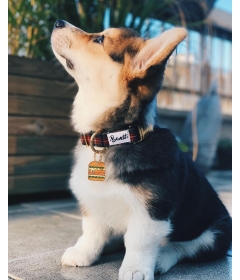 Collier pour chiens - Collier OH MY LORD French Bandit - 1 2