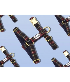 Harnais pour chien - Harnais OH MY LORD French Bandit - 1