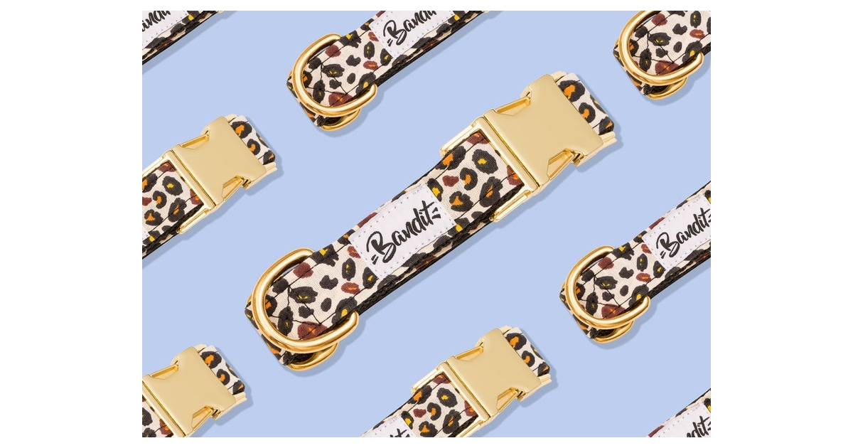 Collier pour chiens - Collier WILD WILD WOUF French Bandit - 1