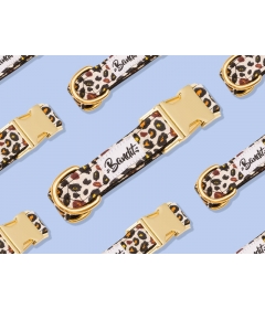 Collier pour chiens - Collier WILD WILD WOUF French Bandit - 1