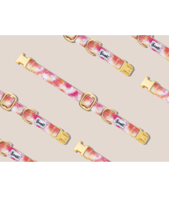 Collier pour chat - Collier BANDIKINI Chat French Bandit - 1