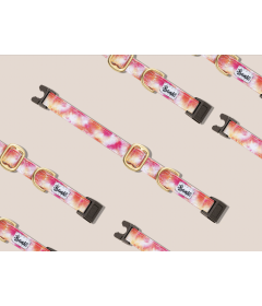 Collier pour chat - Collier BANDIKINI Chat French Bandit - 1 2