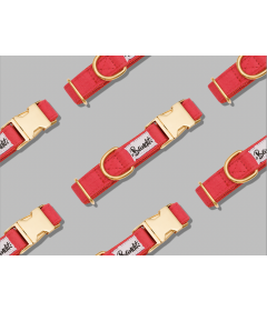 Collier pour chiens - Collier pour chiens - Collier SO RED CHIC French Bandit - 1