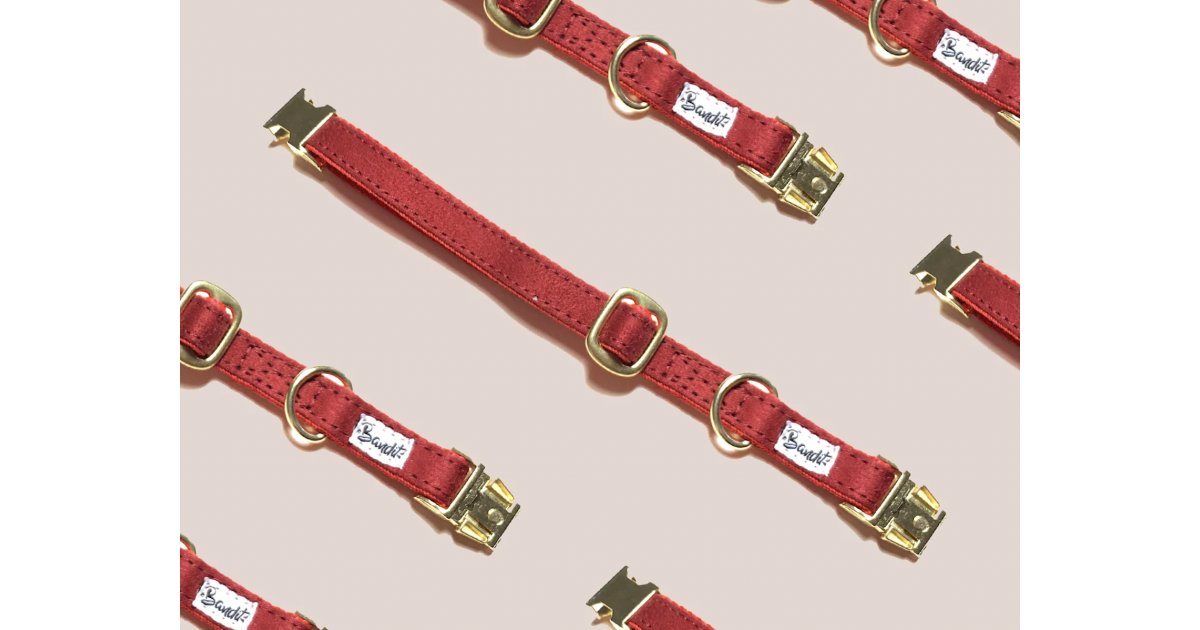 Collier pour chat - Collier SO RED CHIC Chat French Bandit - 1