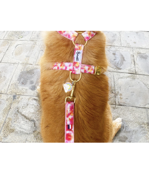 Laisse pour chien - Laisse 4 positions BANDIKINI French Bandit - 2