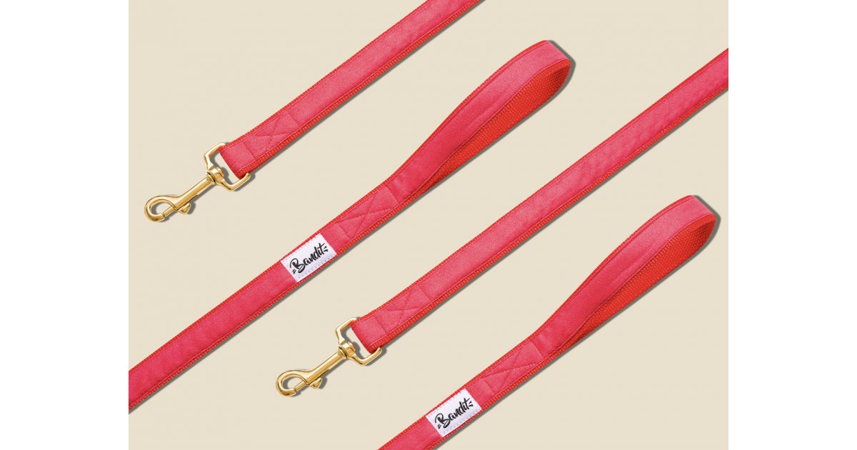 Laisse pour chien - Laisse SO RED CHIC French Bandit - 1