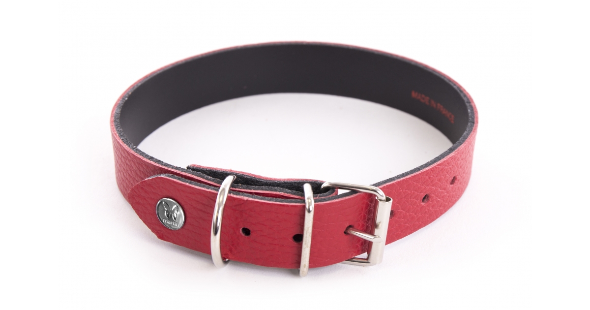 Collier pour chien - Collier Allure Martin Sellier - 1