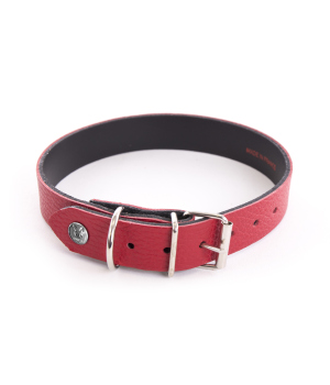Collier pour chien - Collier Allure Martin Sellier - 1