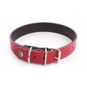 Collier pour chien - Collier Allure Martin Sellier - 1