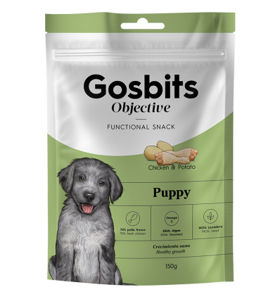 Gosbi - Gosbits Puppy Gosbi - 1
