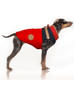 Doudoune pour chiens - Doudoune avec harnais KAËLIG  Milk & Pepper - 1 2