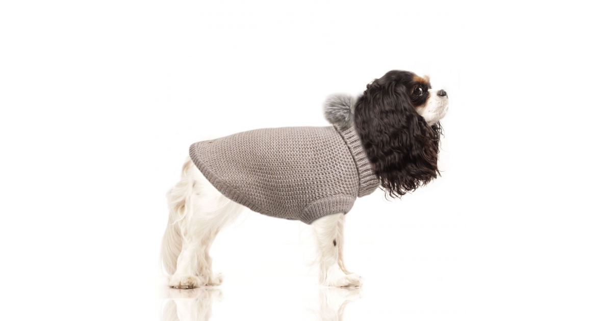 Pull pour chiens - Pull CAMILLE Milk & Pepper - 1