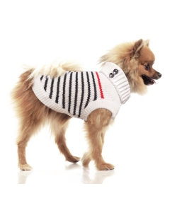Pull pour chiens - Pull rayé MAËL  Milk & Pepper - 1 2