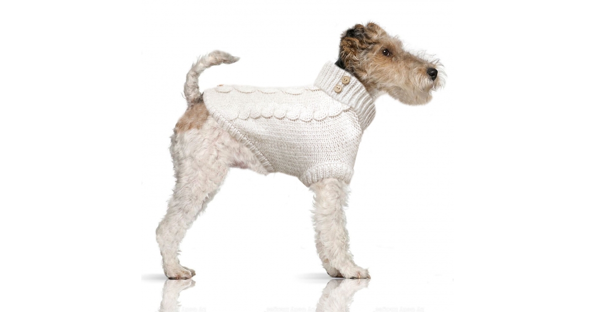Pull pour chiens - Pull en torsade DONOVAN Milk & Pepper - 2