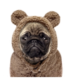 Sweat à capuche avec fourrure AYDEN  Milk & Pepper - 2 2