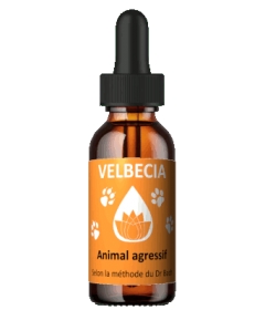 Complément alimentaire Fleur de Bach 30mL - Agressivité Velbecia - 1