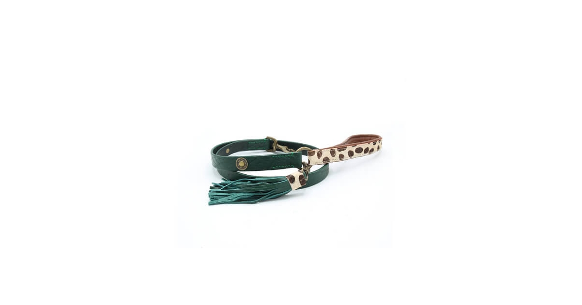 Laisse IVY DWAM - 1