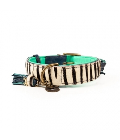 Collier pour chiens - Collier Zara DWAM - 1