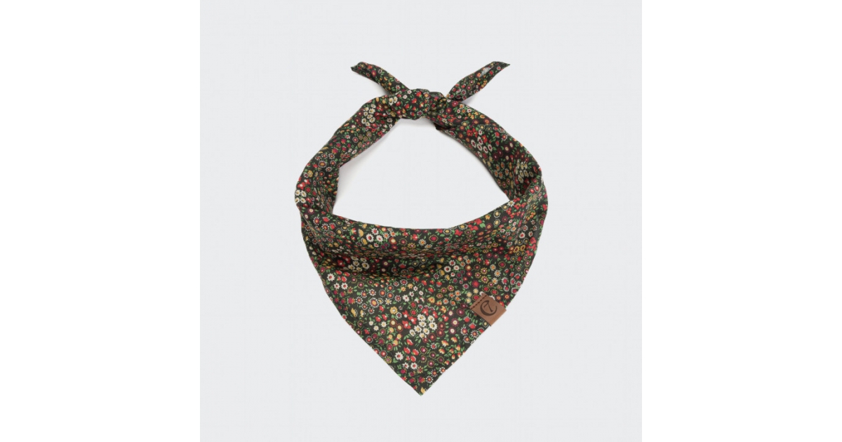 Bandana pour chiens - Bandana Botanical Cloud 7 - 1