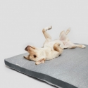 Matelas pour chiens - Dogmat Siesta Tweed Grey Cloud 7 - 2