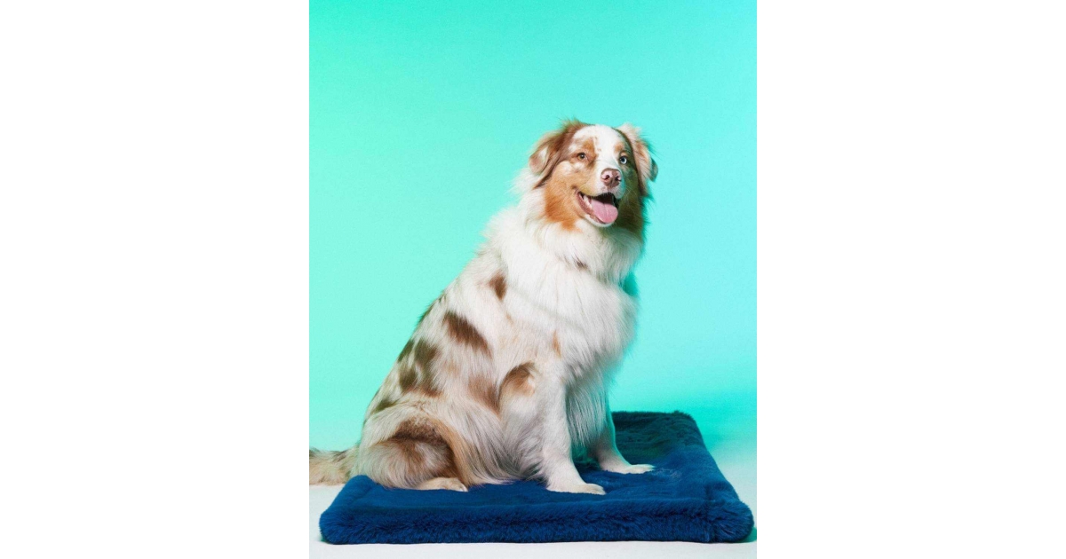 Couchage pour chiens - Le Tapis London  Le Tapis Rouge  - 1
