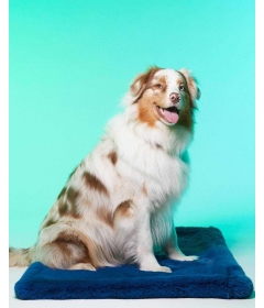 Couchage pour chiens - Le Tapis London  Le Tapis Rouge  - 1