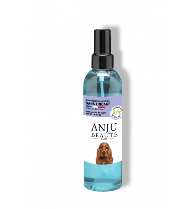 Lotion sans rincage Anju Beauté - 1