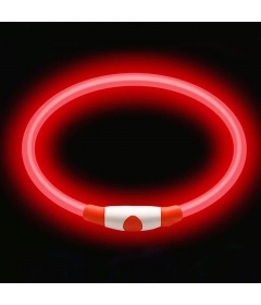 Collier lumineux Chien - Rechargeable  - 3 2