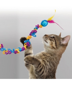 Kong - Loopz Teaser Kong - 1 2