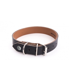 Collier pour chien - Collier Allure Martin Sellier - 1 2