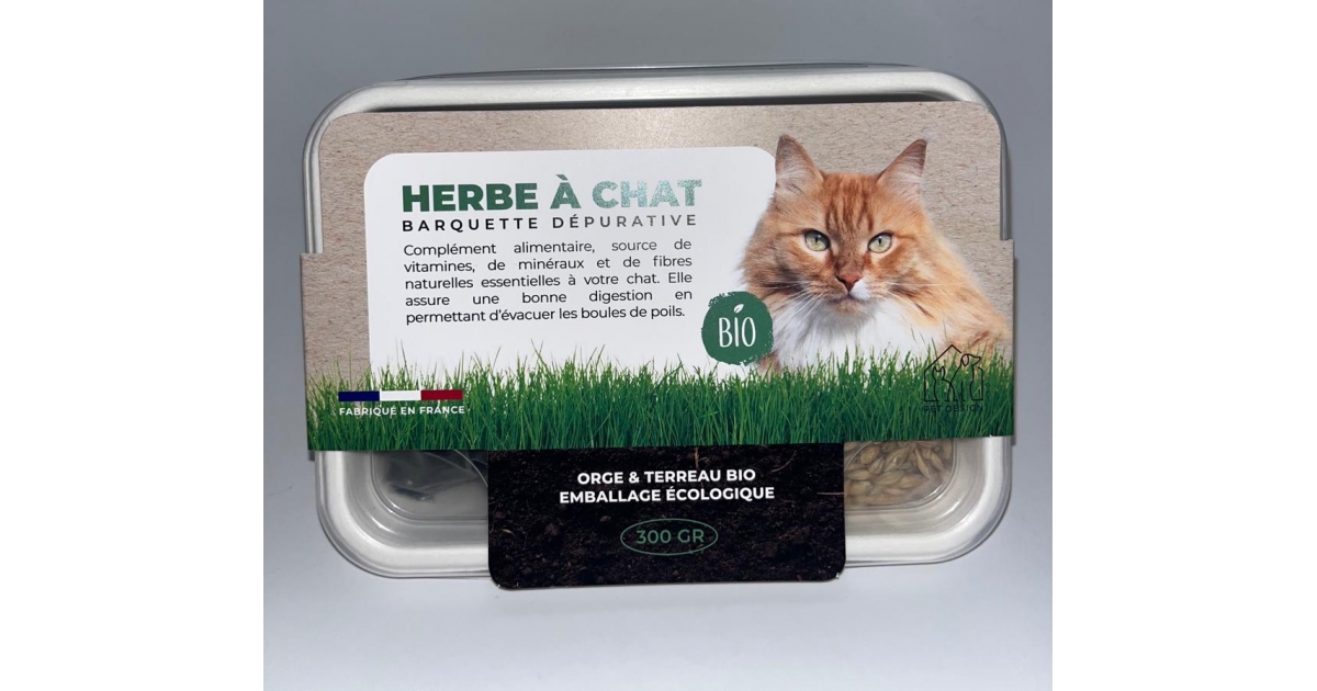 Herbe à chat dépurative BIO