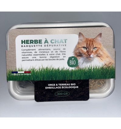 Herbe à chat dépurative BIO