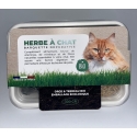 Herbe à chat dépurative BIO