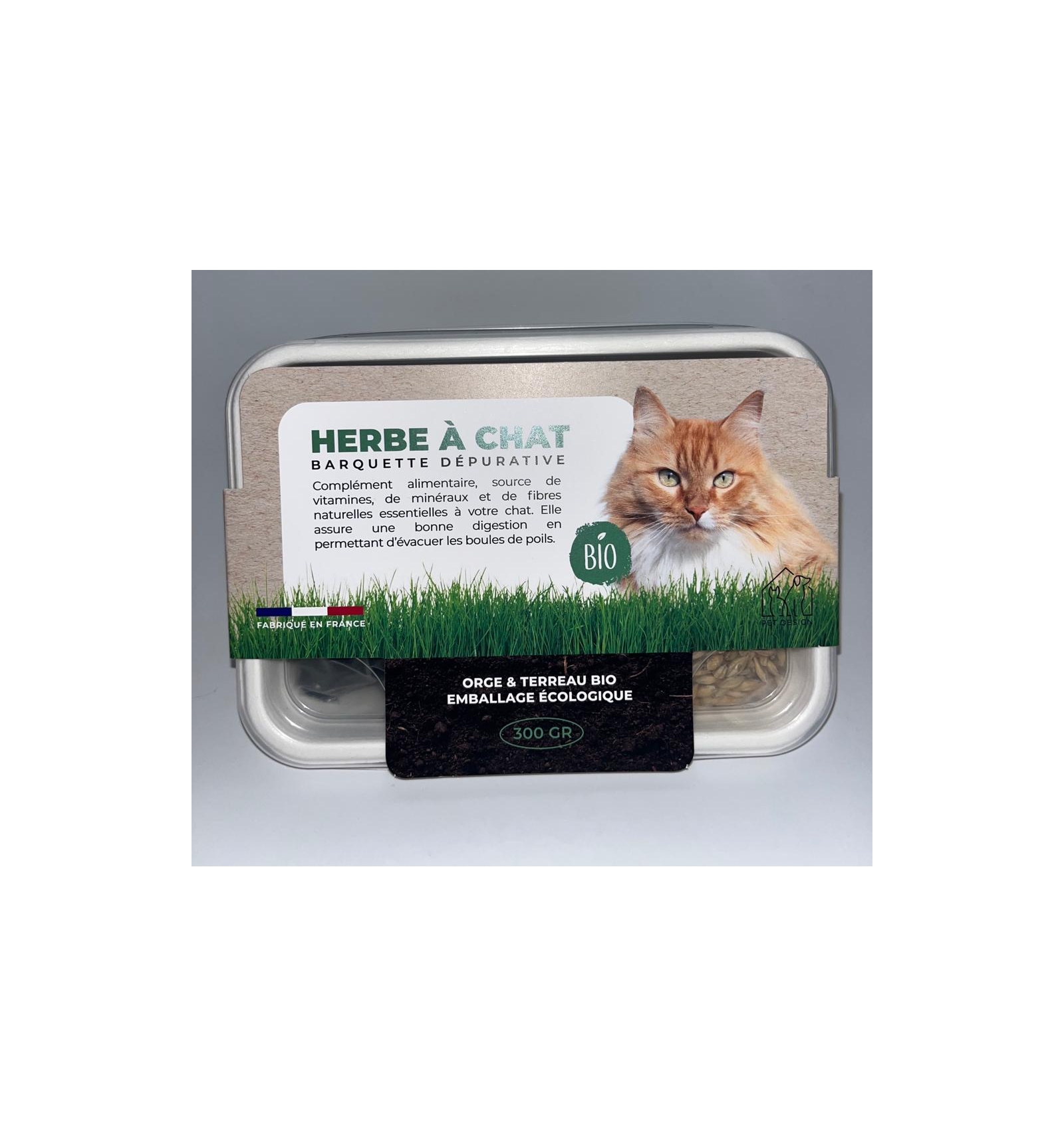 Herbe à chat et Friandises - Chats