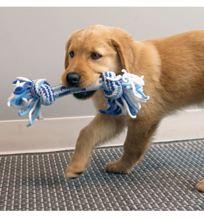 Kong - Rope tug puppy