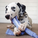 Kong - Signature crunch rope single puppy