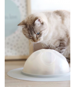 Cat Igloo interactif 2