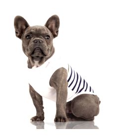 T-shirt Saint brieuc "Capitaine" 2