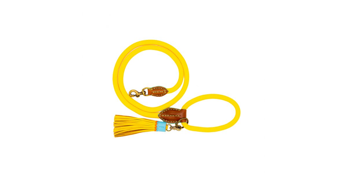 Laisse Sunny Jaune