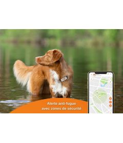 Weenect - GPS v2 pour chien 2