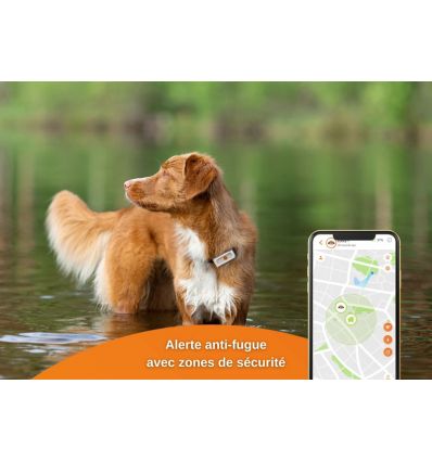 Weenect Dogs 2 - Le plus petit collier GPS pour chien au monde