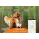 Weenect - GPS v2 pour chien