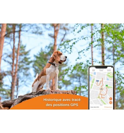 Collier GPS pour chien – Weenect Dogs 2 - Suivi GPS en temps réel, Sans  limite de distance, Plus petit modele du marché