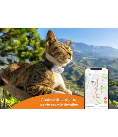 Collier pour chat GPS - Weenect - GPS v2 pour chat 2