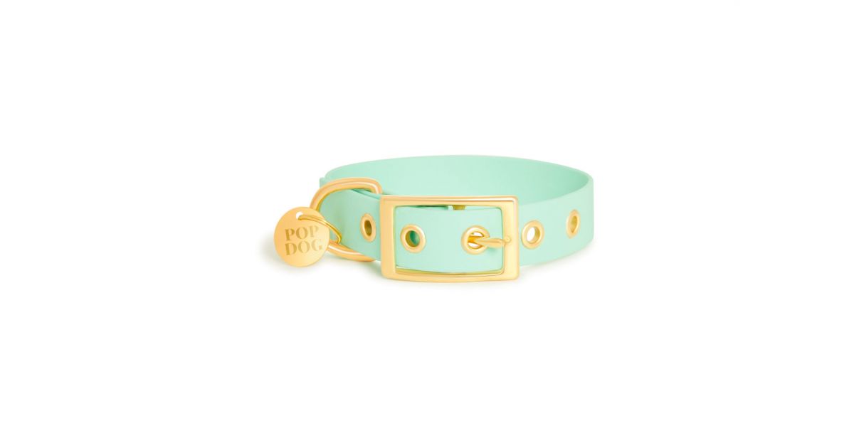 Collier à Oeillets - Swimmy