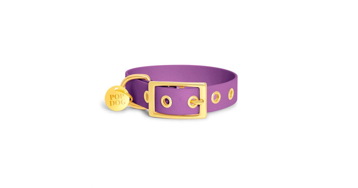 Collier à Oeillets - Precieux