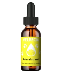 Complément alimentaire Fleur de Bach 30mL - Stress Velbecia - 1