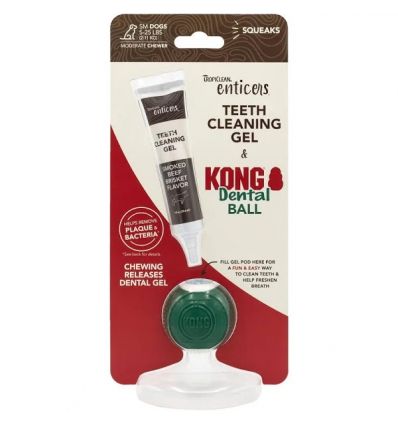 Kong Dental ball
