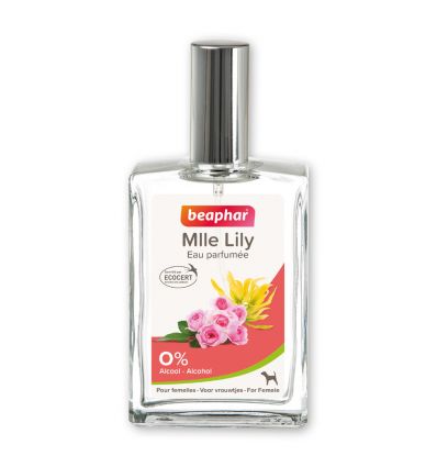Parfum Miss Lilly